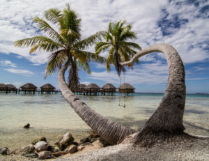 Photo Atoll Manihi Polynesie